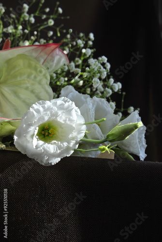 white flower on black background