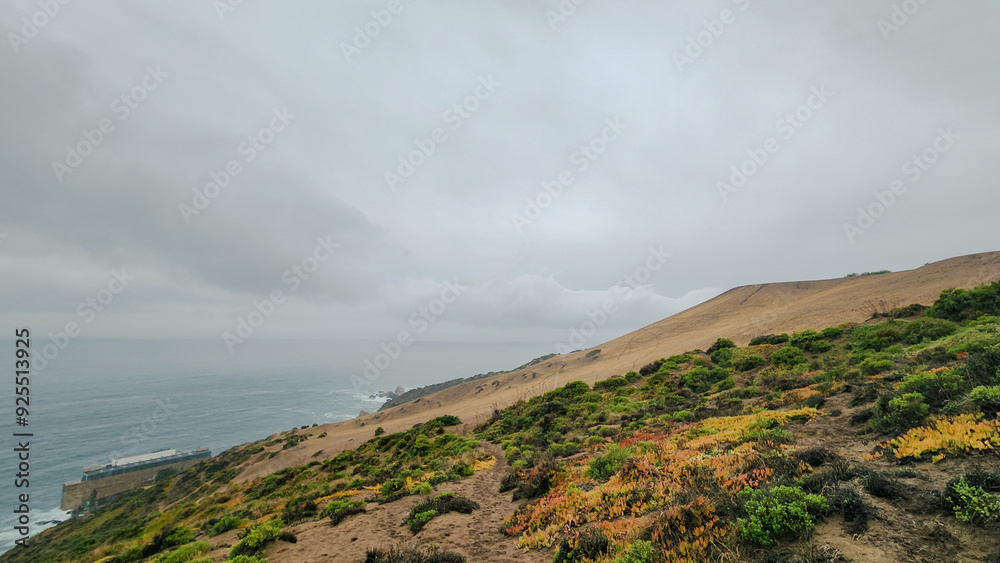 VIEW OF THE MEDANO DE CONCON. TOURIST VILLA IN CHILE. RAINY DAY ON THE PACIFIC OCEAN COAST. 4 VIEW OF THE MEDANO DE CONCON. TOURIST VILLA IN CHILE. RAINY DAY ON THE PACIFIC OCEAN COAST. 4