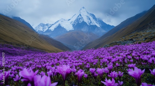 Mountain's canvas adorned in purple