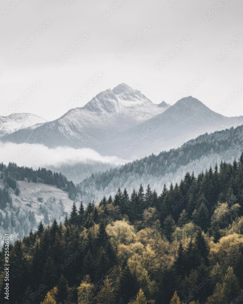 Obraz premium A serene mountain range with snow-capped peaks, dense forests, and a misty atmosphere on an overcast day.