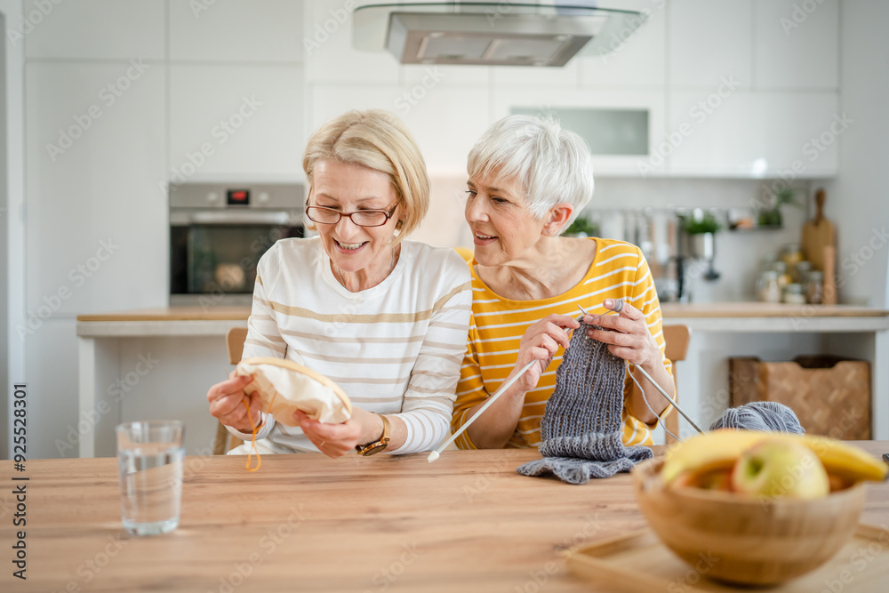 two women senior mature knitting and embroidery during leisure time two women senior mature knitting and embroidery during leisure time