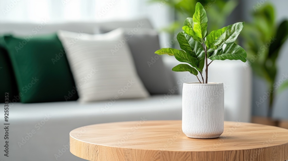 Minimalist indoor setup featuring a green potted plant on a wooden coffee table with a soft-focus gray couch and cushions in the background, displaying modern decor. Minimalist indoor setup featuring a green potted plant on a wooden coffee table with a soft-focus gray couch and cushions in the background, displaying modern decor.