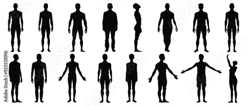 Human body silhouette set vector design big pack of illustration and icon