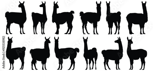 Llama silhouette set vector design big pack of animal illustration and icon