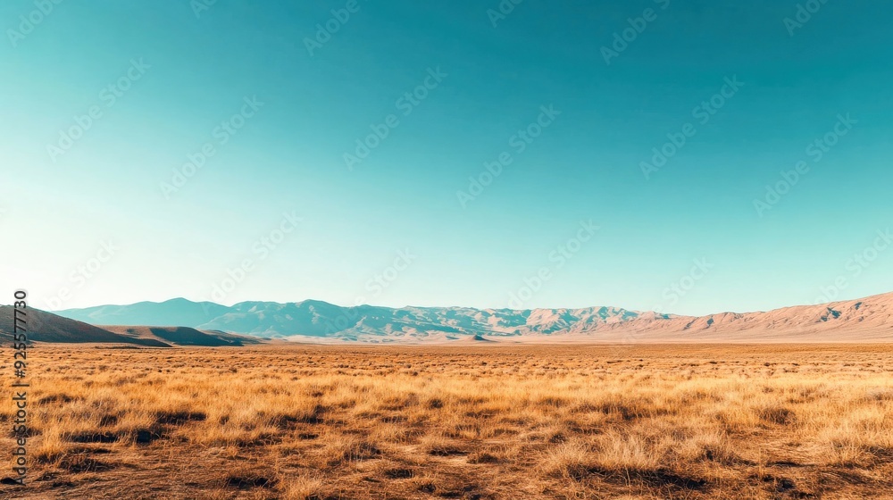 A vast field of golden grass gently sways in the breeze, framed by majestic mountains under a bright blue sky during a tranquil afternoon A vast field of golden grass gently sways in the breeze, framed by majestic mountains under a bright blue sky during a tranquil afternoon
