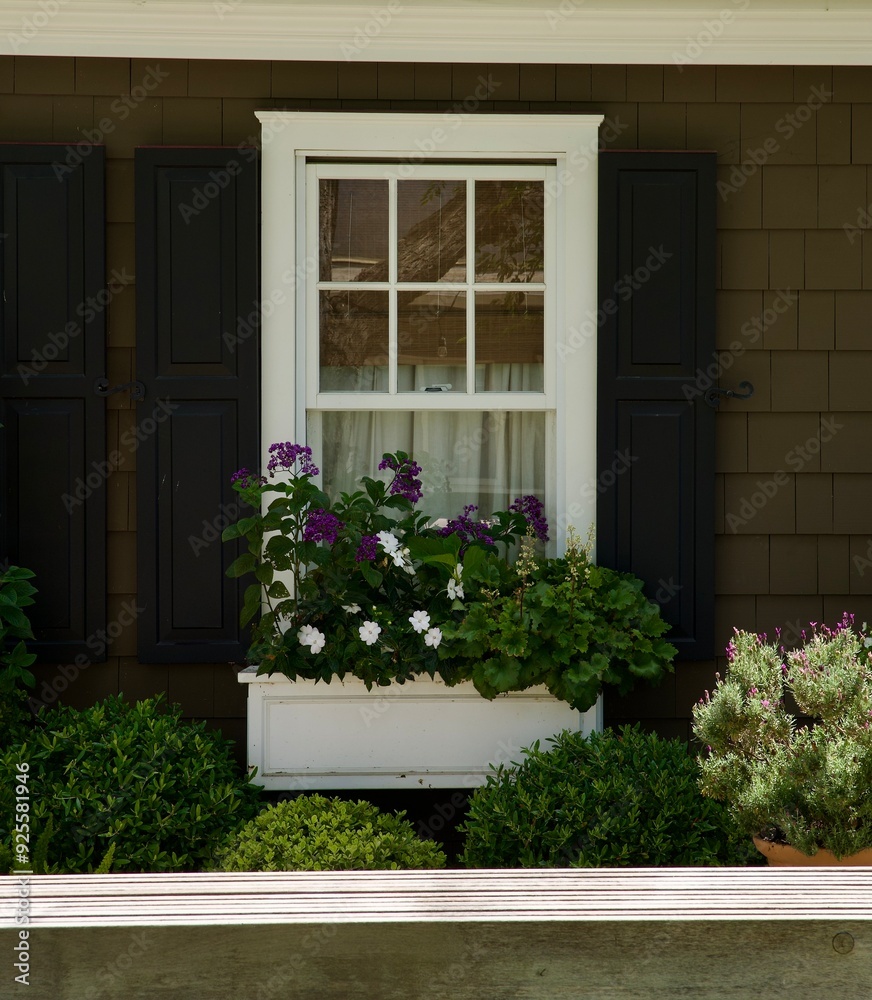beach house with flowering window box beach house with flowering window box