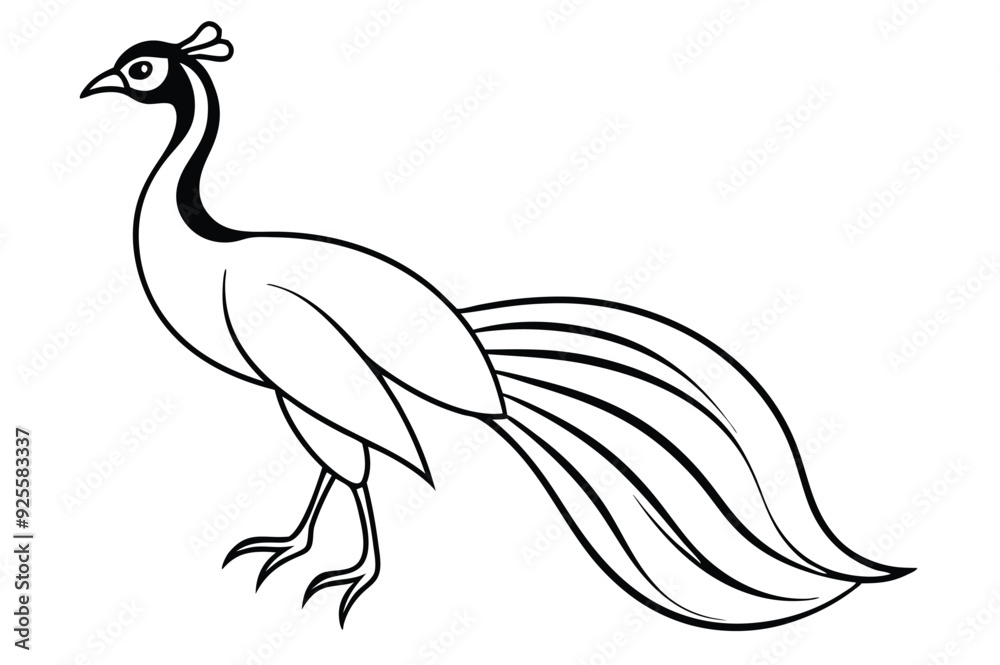 Fototapeta premium peacock style rangoli design vector silhouette