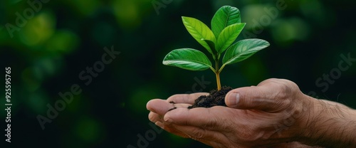 Businessman'S Hand Giving Money With A Carbon Reduction Icon, Emphasizing Financial Incentives For Reducing Carbon Footprint