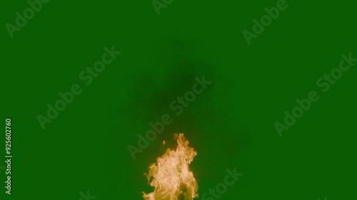 realistic animation of fire with smoke on a green background
