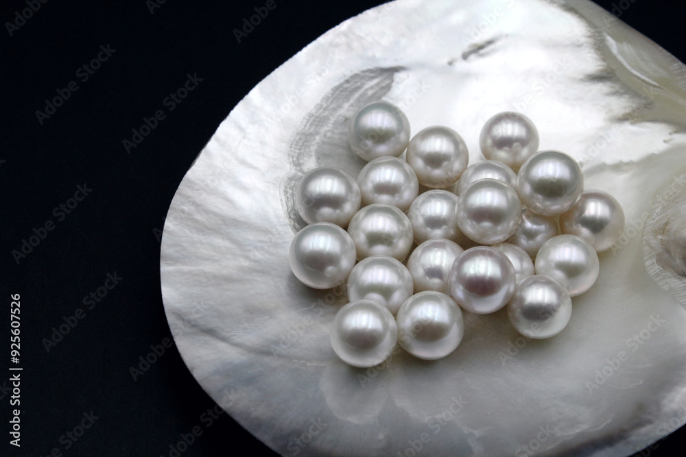 Expensive luxurious Chinese freshwater round pearls in a white shell, to be made into earrings, pendants or necklaces and sold in jewelry store. Popular feminine wedding accessory. Expensive luxurious Chinese freshwater round pearls in a white shell, to be made into earrings, pendants or necklaces and sold in jewelry store. Popular feminine wedding accessory.