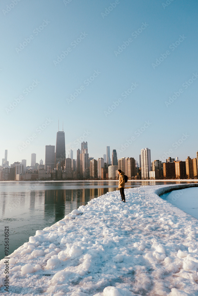 Obraz premium Chicago Skyline in the winter
