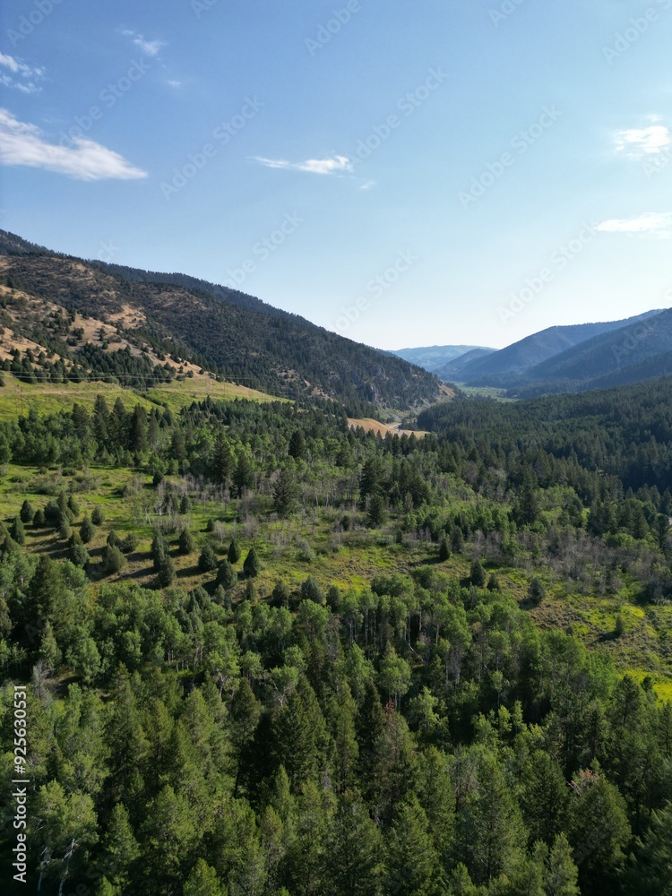 Landscape with mountains and forest Landscape with mountains and forest