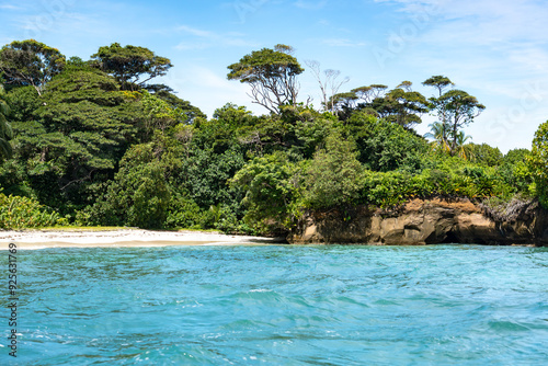 Tropical Beach Paradise with Palm Trees and Rocky Coastline in the caribbean Islands, Featuring Stunning Ocean Views, Sandy Shores, and Lush Island Landscapes, Perfect for Travel and Vacation Getaways photo