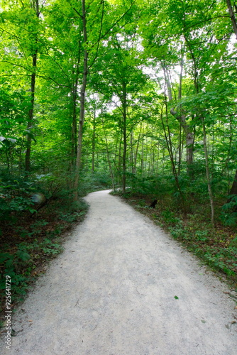 Woodland Trail, Blacklick Metro Park, Reynoldsburg, Ohio photo