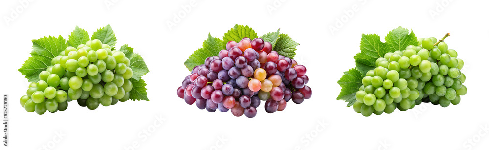 Fototapeta premium Grapes with Clipping Path – Transparent Background PNG