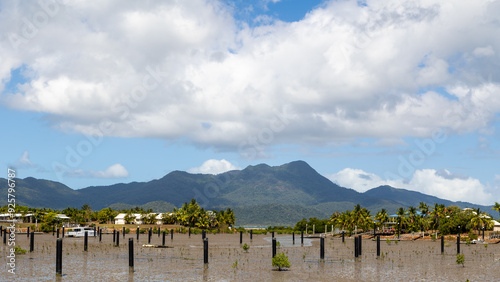 An upmarket harbor estate where mangroves were removed to create a harbor, but it has silted up and was damaged by a cyclone in Cardwell in Queensland, Australia, with Hinchinbrook Island behind. photo