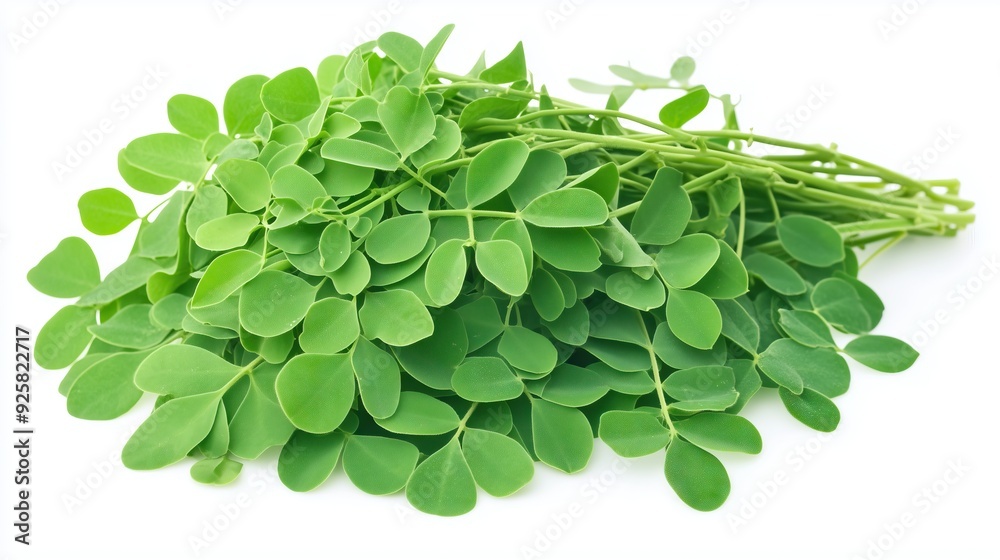 Moringa bouquet on white background