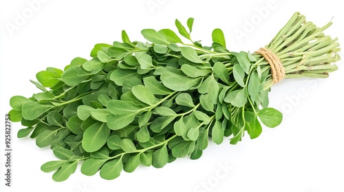  bunch of astragalus leaves on white background photo