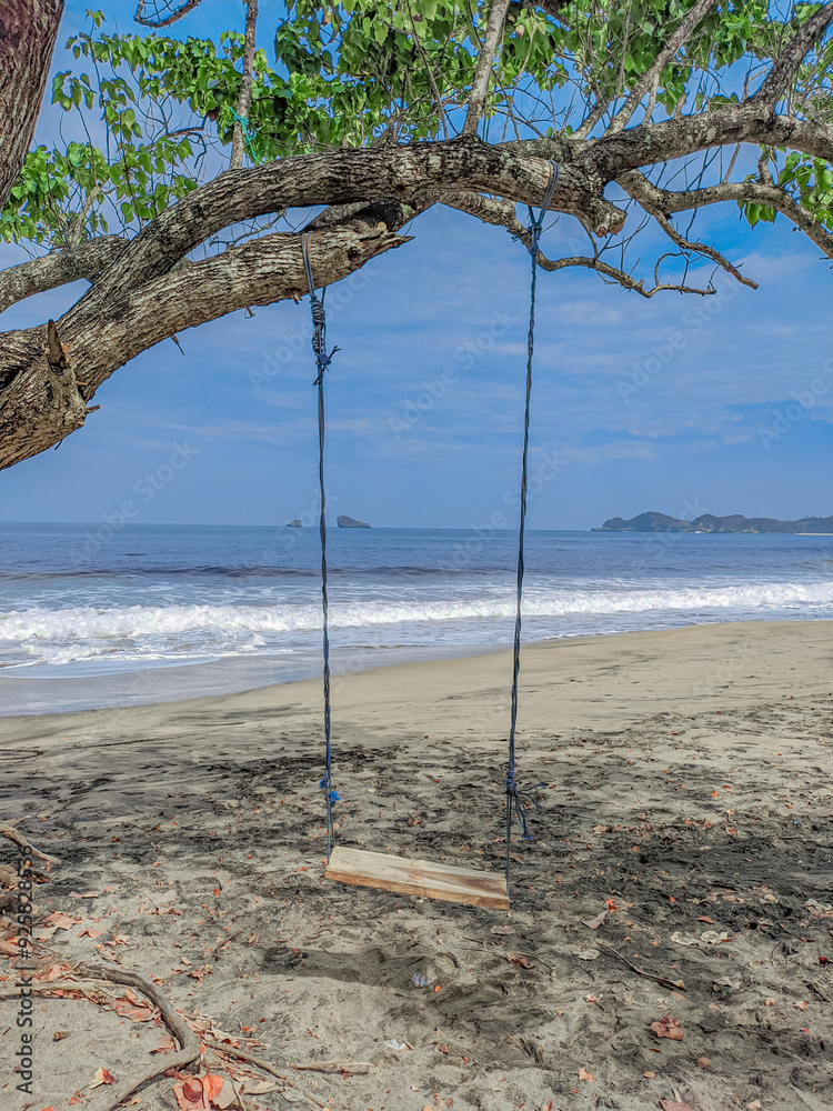 A swing tied to a beachside tree on a sunny day A swing tied to a beachside tree on a sunny day