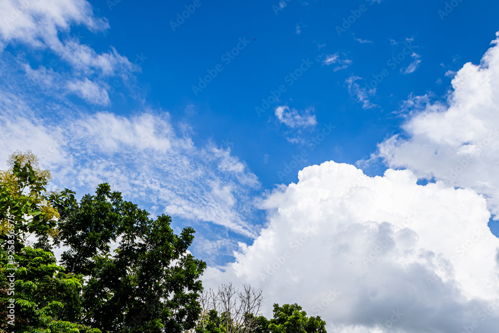 The sky is blue with a few clouds scattered throughout. The trees are green and the sky is clear The sky is blue with a few clouds scattered throughout. The trees are green and the sky is clear