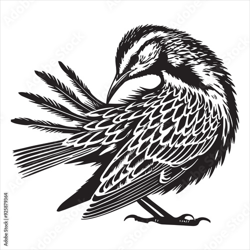 Western meadowlark silhouette, Meadowlark Bird Clipart,  Western Meadowlark preening feathers Illustration in black and white
