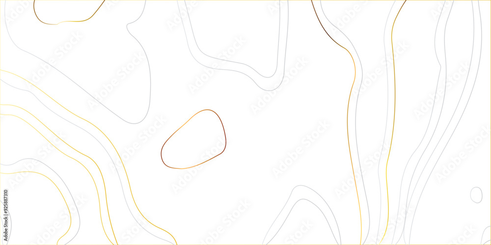 Fototapeta premium map and landscape terrain texture grid. Abstract lines background. Contour maps. map background. geographic line map with elevation assignments. white wave paper and geographic golden line abstract b