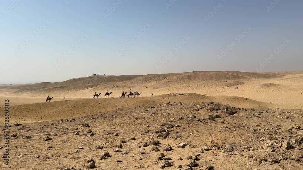 landscape in the desert with camels,egypt landscape in the desert with camels,egypt