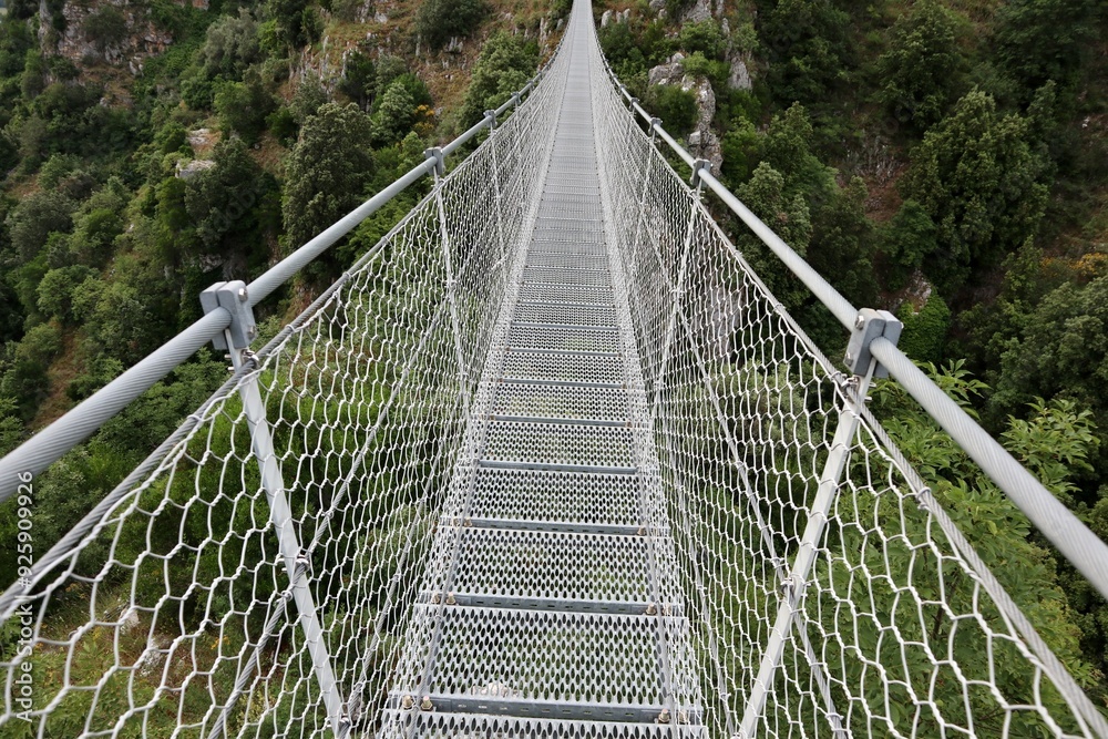 Laviano - Particolare del ponte tibetano in mezzeria