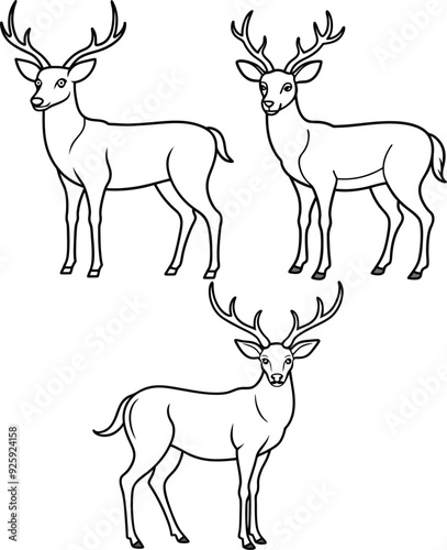 A package of Dear outline or line art or sketch illustration, standing gracefully with antlers visible, drawn with elegant and slender lines on a white background. photo