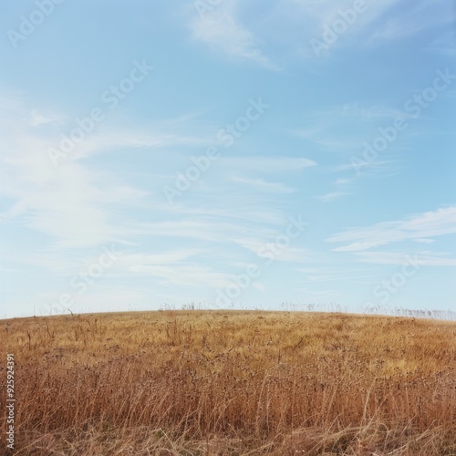 An open, dry, and slightly hilly field under a soft, blue sky, evoking a sense of vastness and untouched, raw beauty of the countryside.