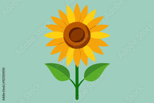 sunflower vector art and  illustration photo