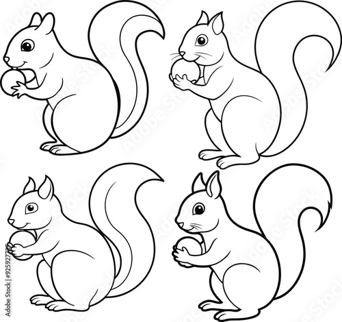 Cute squirrel outline or line art or sketch illustration package, holding a nut with its bushy tail curled, drawn with smooth lines on a white background.