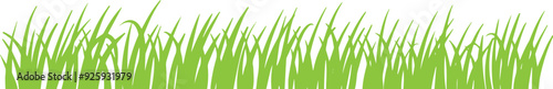 Natural grass plant border silhouette vector