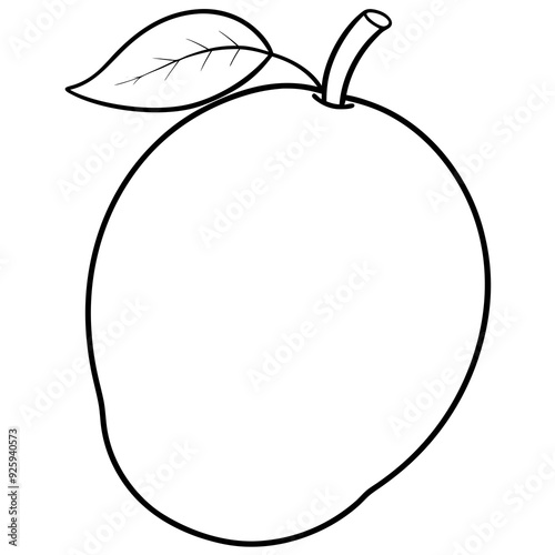 Mango line art vector illustration