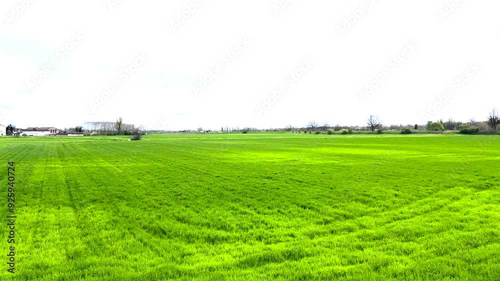 A serene landscape features a lush green field with scattered hay bales. The video captures natures tranquility under a clear blue sky A serene landscape features a lush green field with scattered hay bales. The video captures natures tranquility under a clear blue sky