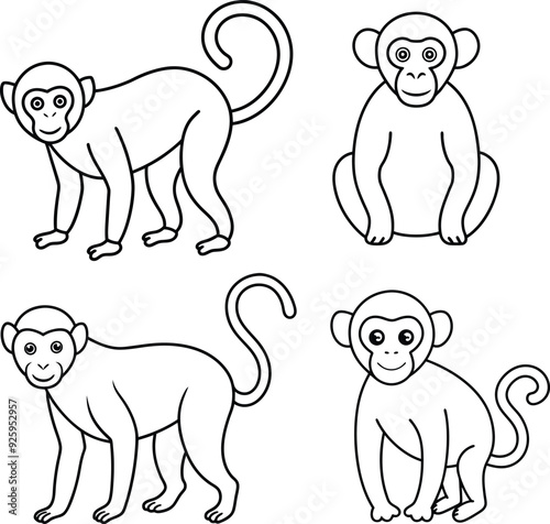 Canvas Print A package of monkey outline or line art or sketch illustration, swinging from a tree branch with a curled tail, drawn with minimalistic lines on a white background