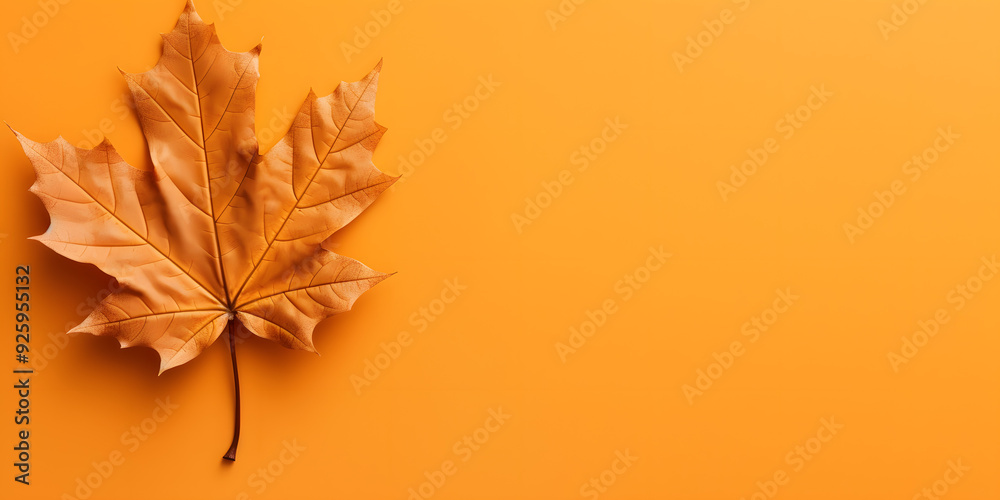 Close-up of a dried brown maple leaf on a vibrant orange background, symbolizing autumn, nature, and seasonal change Close-up of a dried brown maple leaf on a vibrant orange background, symbolizing autumn, nature, and seasonal change