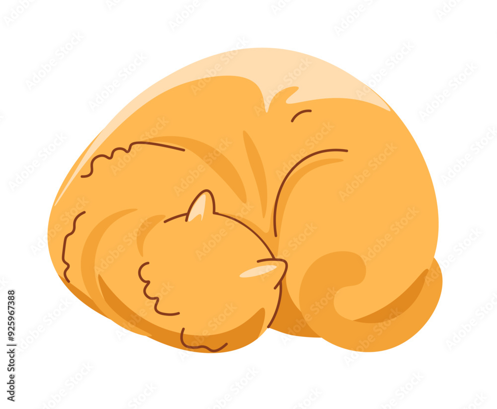 Sleeping curled up orange cat