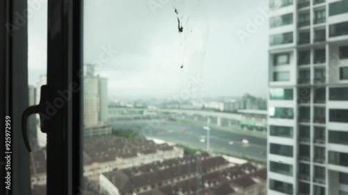 Close-up view of the bird poop on the building window