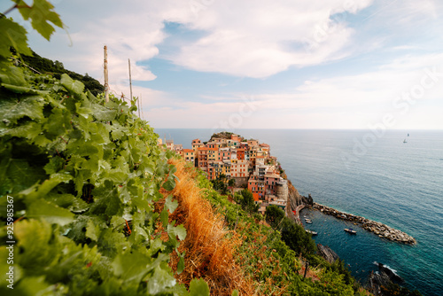 Manarola