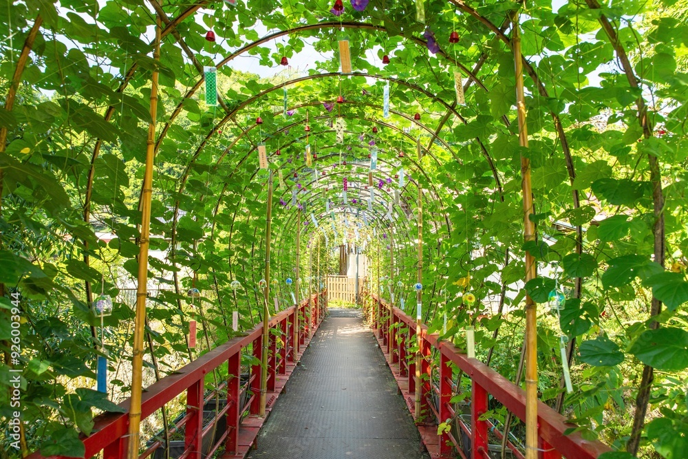 Fototapeta premium 豊田市、朝顔と風鈴のトンネル（小渡夢かけ風鈴）