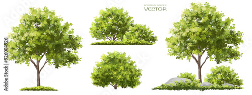  Vector watercolor green  tree or forest side view isolated on white background for landscape and architecture drawing,elements for environment or and garden,Shrub for section