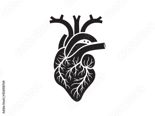 Human heart anatomically art illustration Vector isolated.