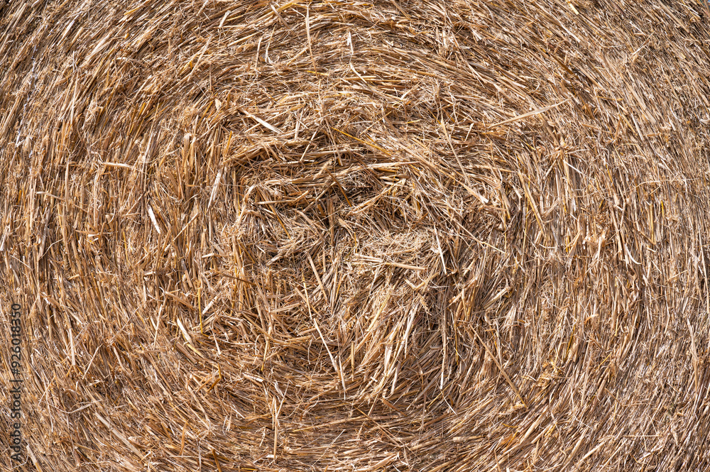 Golden pattern of hay stack at the German countryside in Stuhr, Lower Saxony, Germany Golden pattern of hay stack at the German countryside in Stuhr, Lower Saxony, Germany