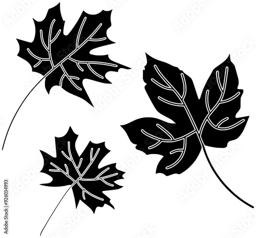 autumn illustration nature silhouette season logo maple icon fall outline leaf foliage red tree forest plant october park leaves shape outdoor orange seasonal for vector graphic background
