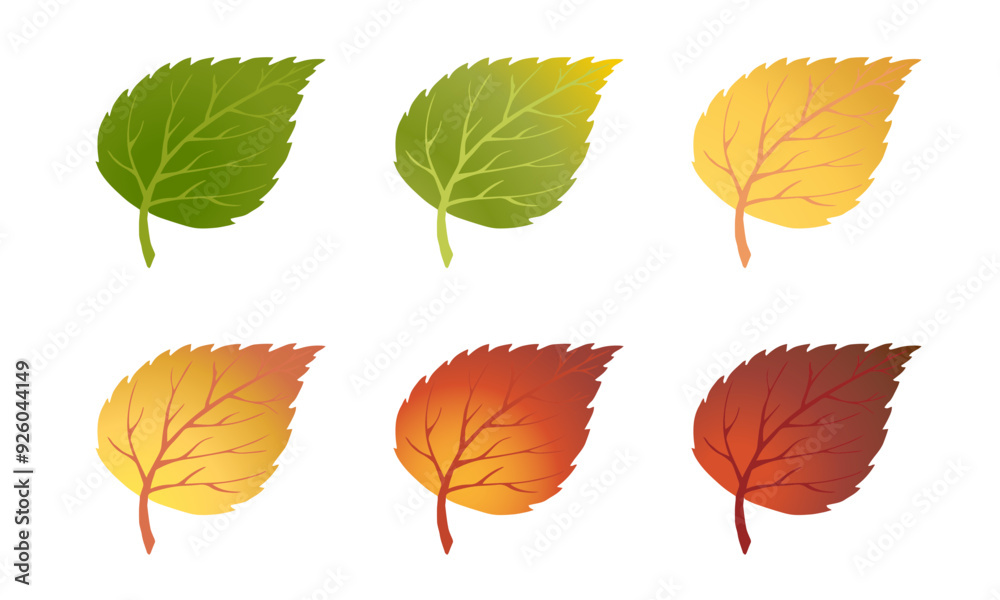 Fototapeta premium Realistic Falling Autumn Leaves. Simple fashionable design Forest autumn Birch leaves flat style. Bright concept for modern invitation cards, posters, banners, advertising for Thanksgiving Day. Vector