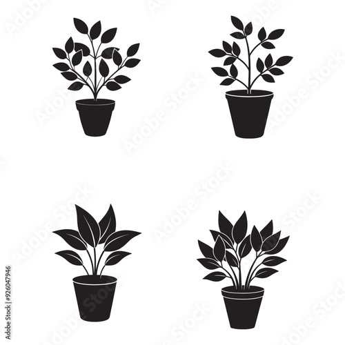 Black  Plant on pot of flower silhouette