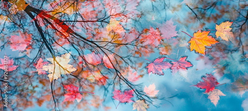 Wallpaper Mural Meditative vivid colored autumn scene with some leaves floating on reflective water, capturing a moment of natural stillness. Torontodigital.ca