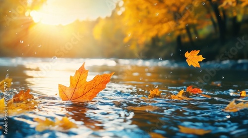 Close-up of autumn leaf borders, focusing on the layering of colors, Double exposure silhouette with a flowing river photo