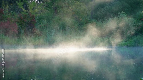 Morning lake in the forest, water evaporation on the surface of the lake in the rays of the sun